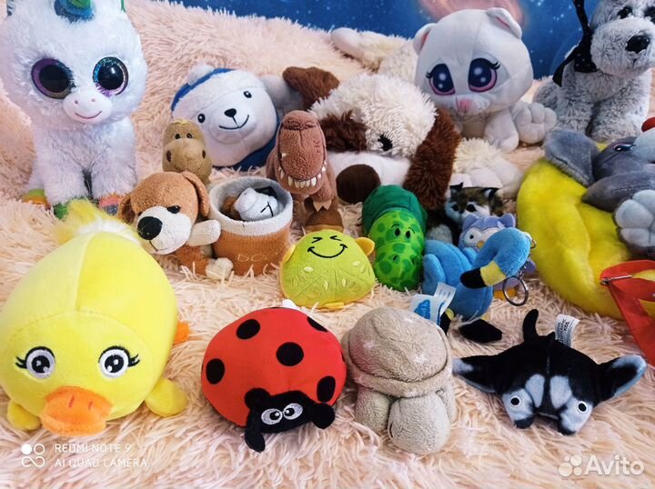 Пакетом мягкие игрушки, сумки,электр.плакат, книги