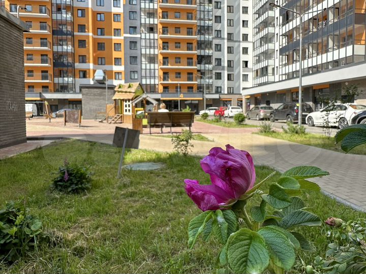 1-к. квартира, 43,2 м², 4/14 эт.