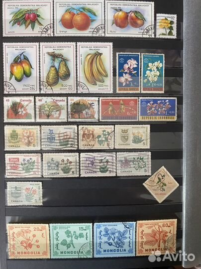 Почтовые марки Флора 152 шт