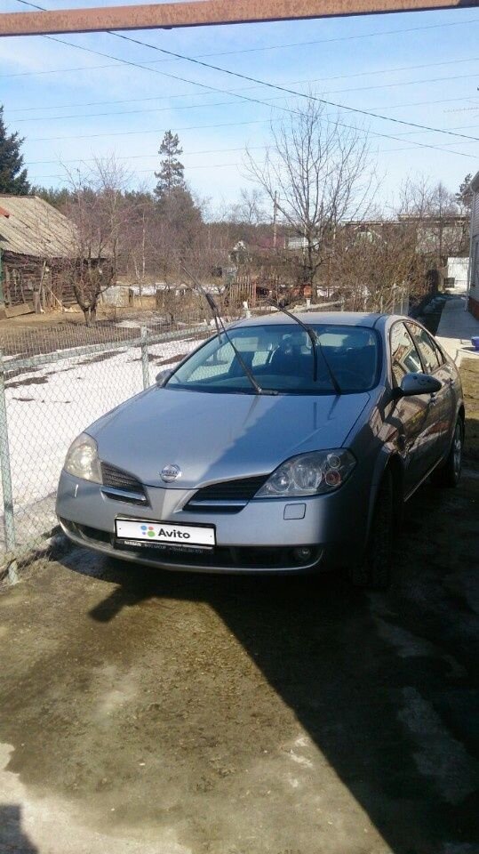 Nissan Primera: фото владельца