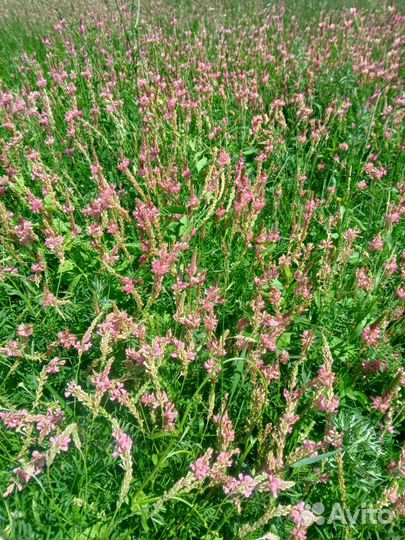 Сено,зерно доставка