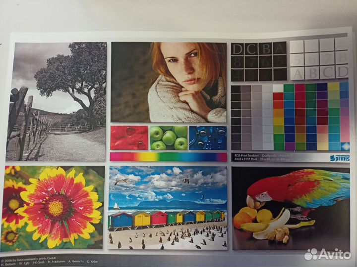 Цветной лазерный принтер samsung CLP-310