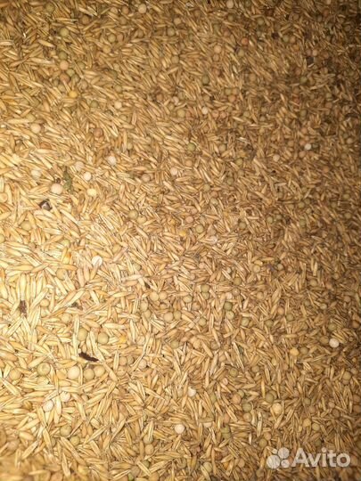 Пшеница, ячмень, овес с горохом, солома