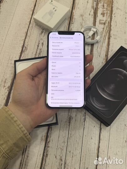 iPhone 12 Pro Max, 256 ГБ