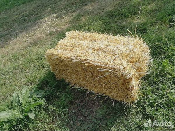 Сено и пшеничная солома в тюках
