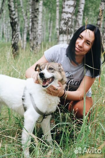 Нежный Раф в дар