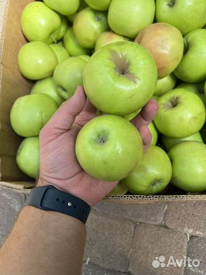 Джаногольд 75+