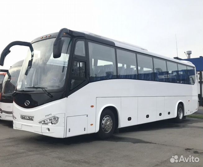 Аренда автобуса на свадьбу