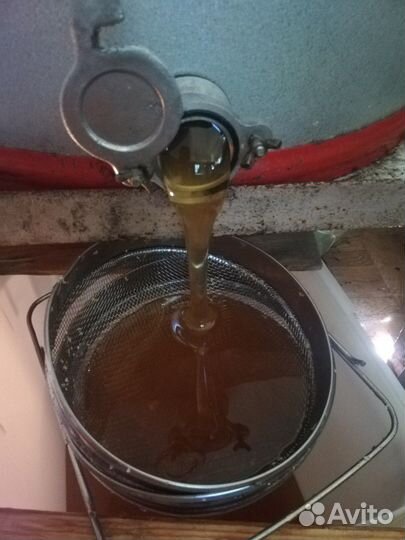 Мёд разнотравие 2023