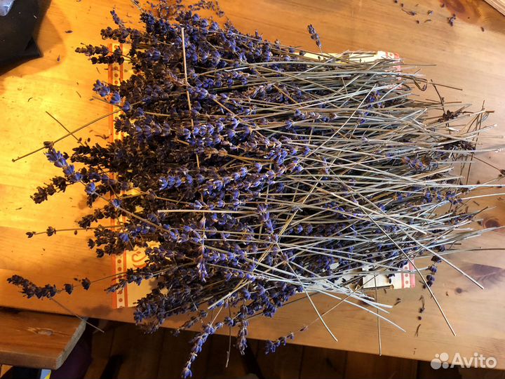 Лаванда сухоцвет