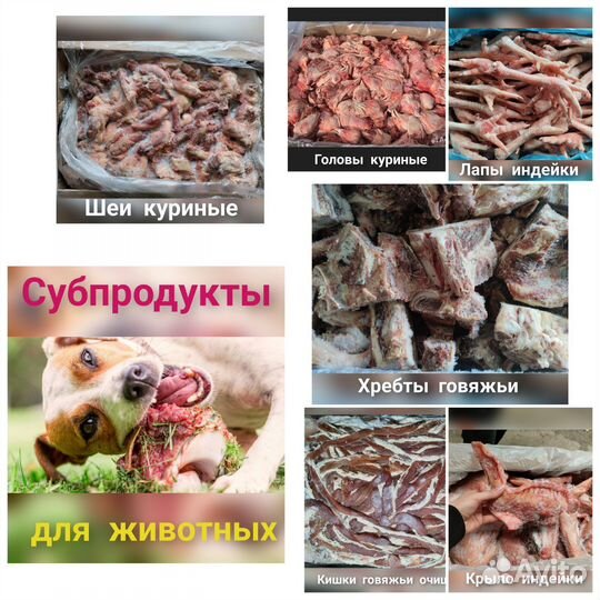 Субпродукты животным