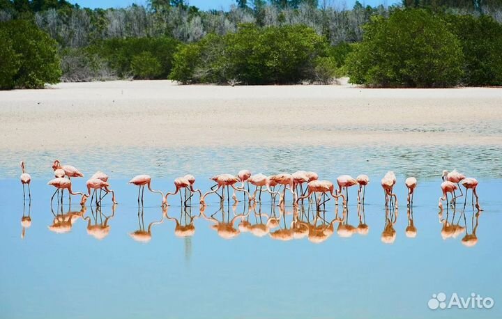 VIP-тур на Cayo Coco 7 дн