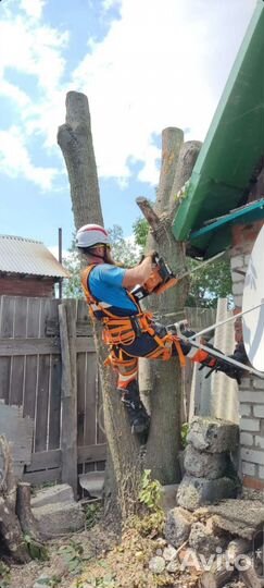 Вальщик деревьевьев,пилю деревья любой сложнасти