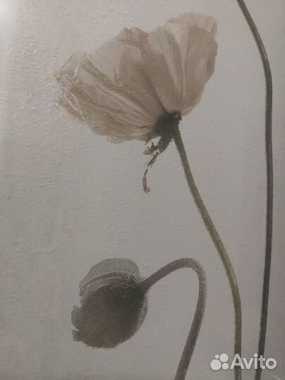 Картины большие