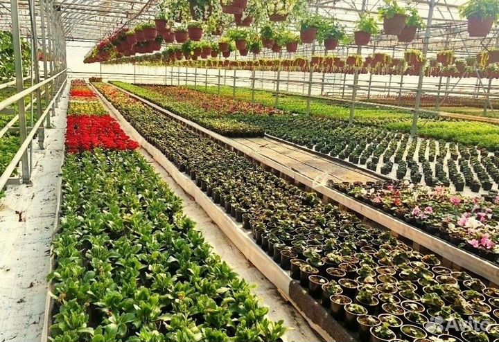 Теплица из поликарбоната