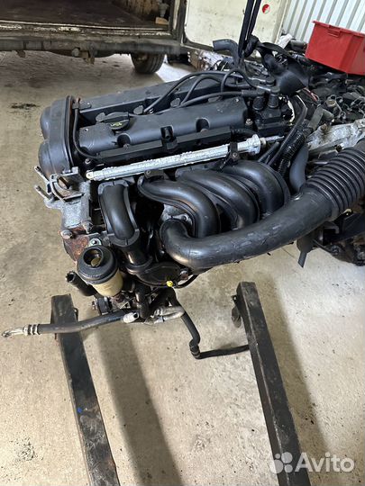 Двигатель 1.6 hwdb Форд Фокус 2