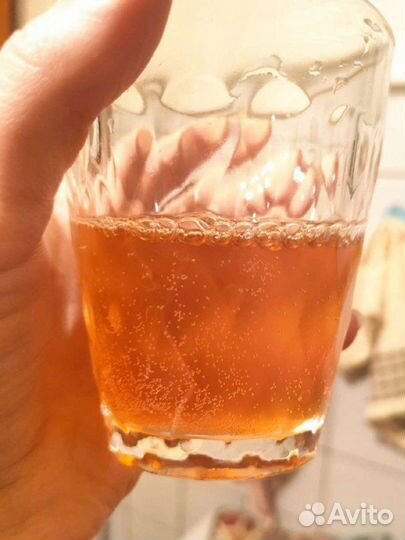 Чайный гриб (квас)