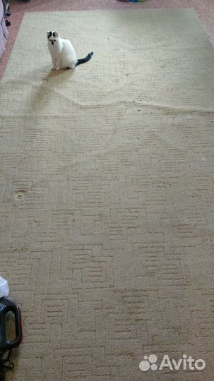 Продам ковер бу