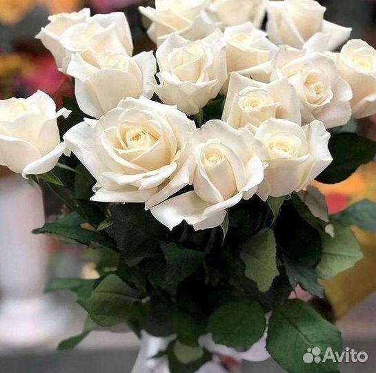 Высокие Высокие розы Гигантские розы Букеты Достав