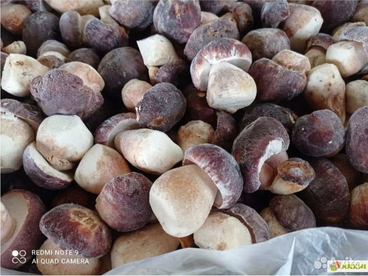 Грибы белые замороженные