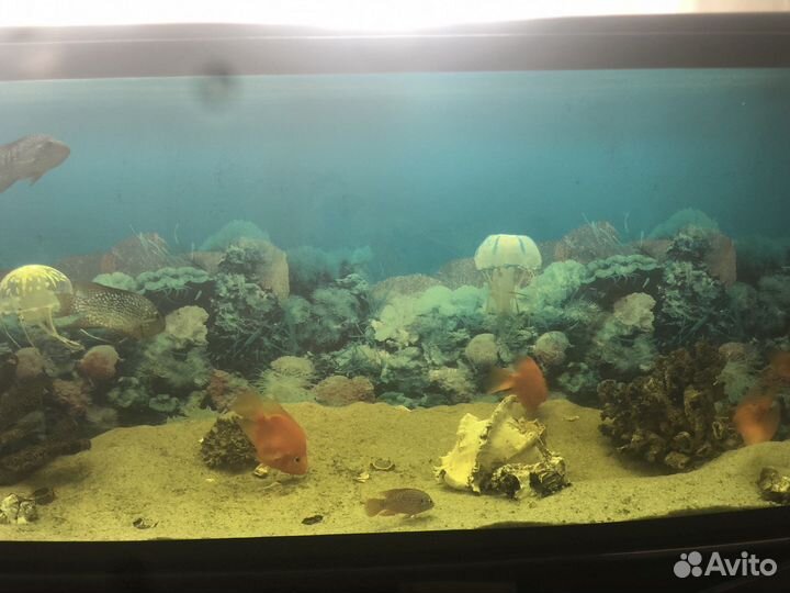 Аквариум с тумбой 400 литров