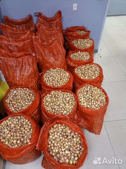 Только опт от 1 сетки (25кг) Штутгартер колобок