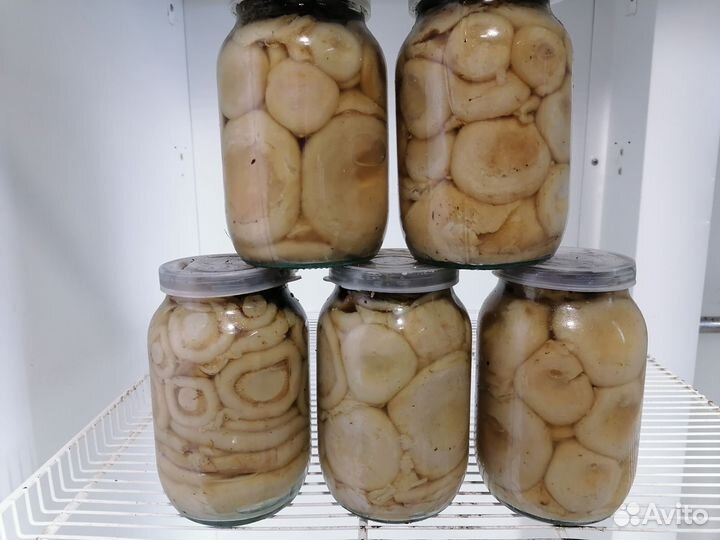 Грузди белые соленые холодным способом