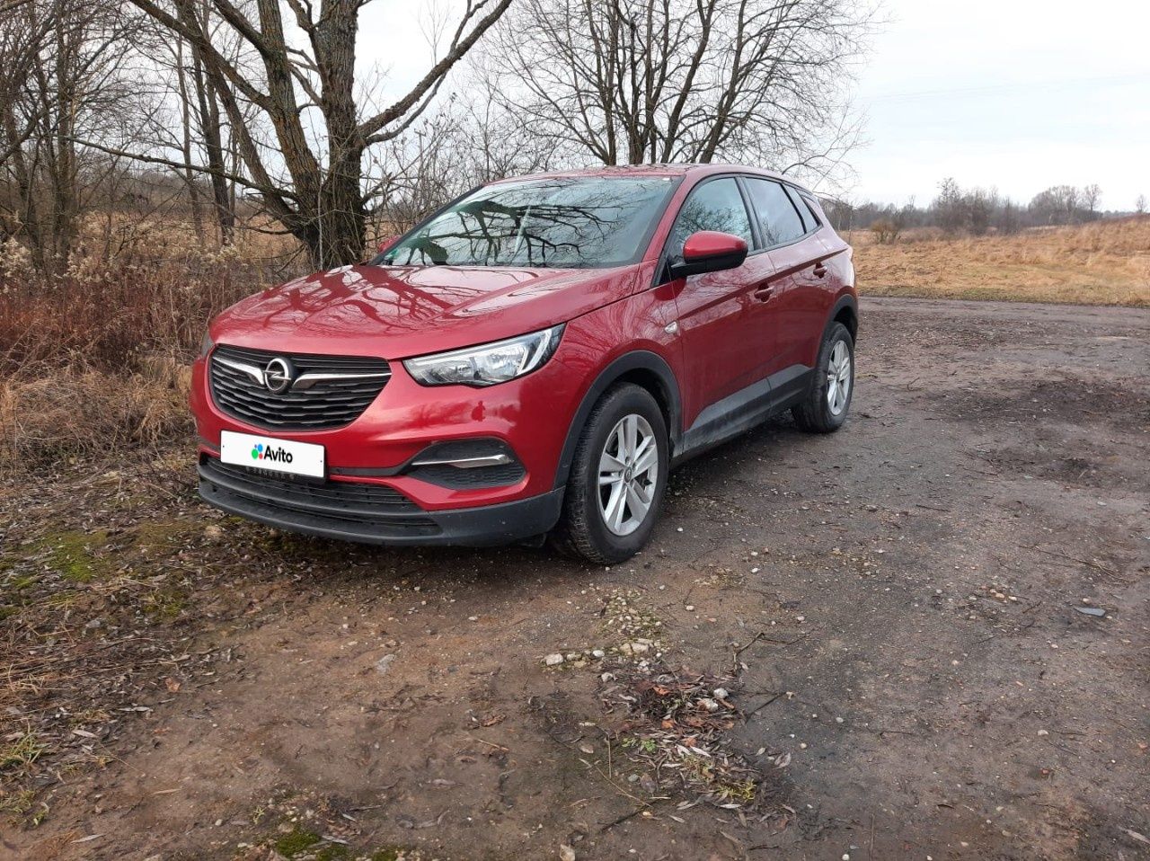 Opel Grandland X: фото владельца