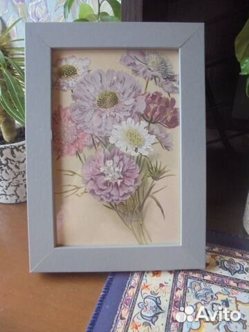 3 панно 12х17 стар грав принт Садов многолетн