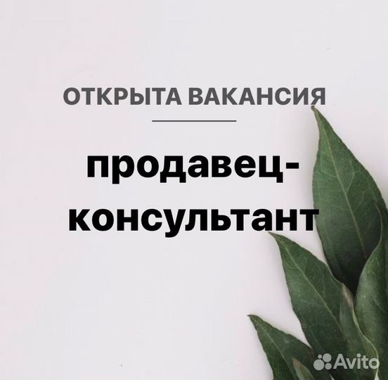 Продавец-консультант (ТЦ Планета)