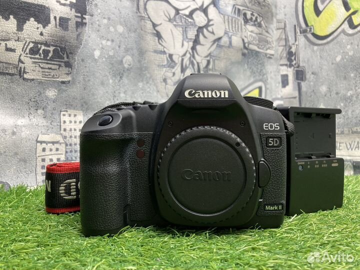 Canon EOS 5D Mark II (9.500 кадров)