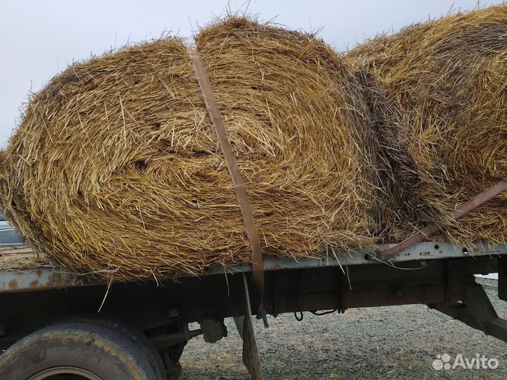 Солома, в мешках