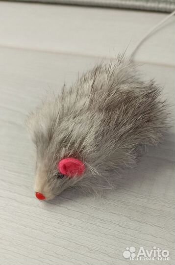 Игрушки для кошек, шлейка для кошек собачек