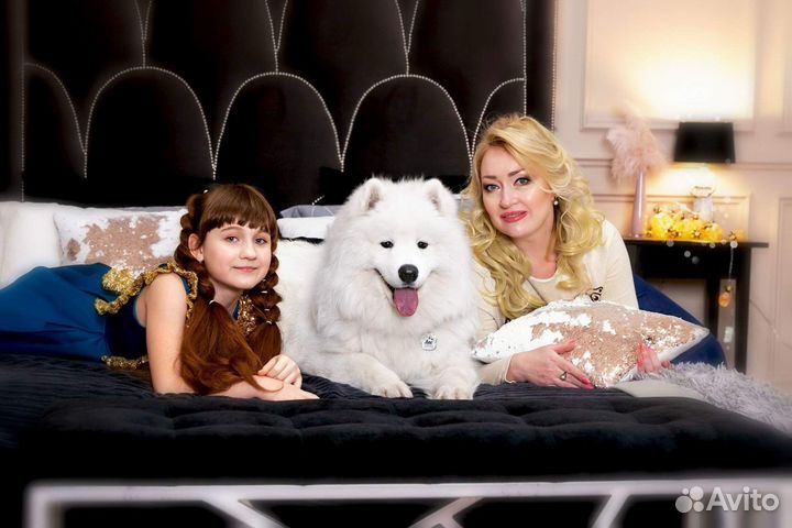 Фото с самоедом