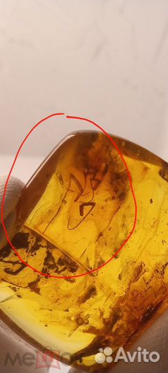 Два самородка янтаря с инклюзами