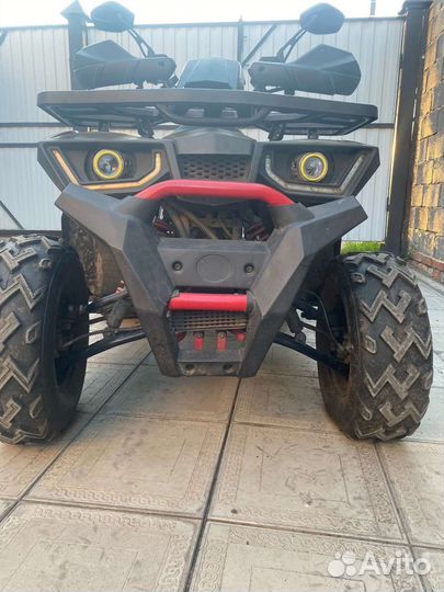 Avantis Hunter 200 New Lux