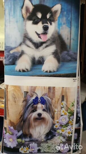 Ткань мебельная велюр