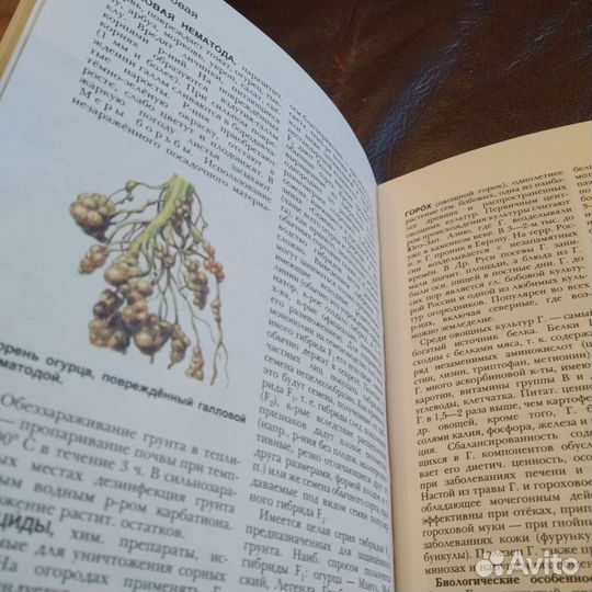 Книга Ваш огород