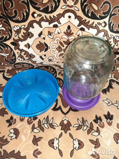 Автопоилка и кормушка