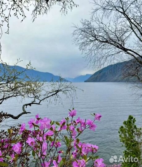 Авторские экспедиции по России, от 5 до 12 дней