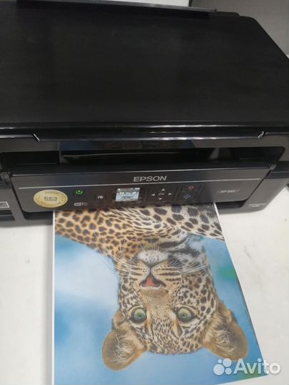 Мфу цветной Epson XP-342. Бесчиповая снпч. Wi Fi