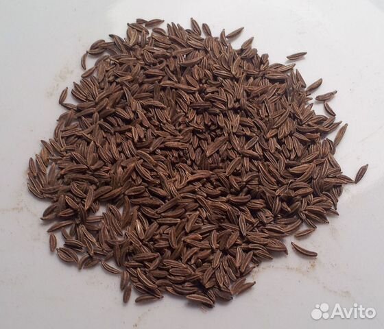 Тмин (семена)
