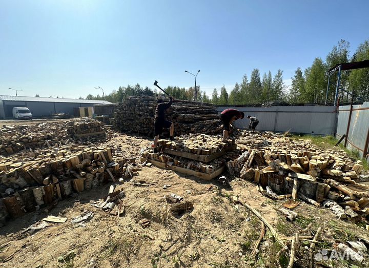 Дрова березовые и осиновые