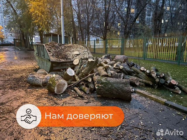 Расчистка участка под ключ в Зеленограде | Услуги | Авито