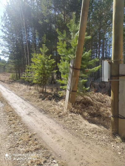 Участок 8,5 сот. (СНТ, ДНП)