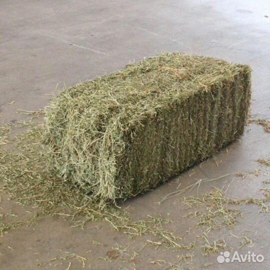 Сено кипа