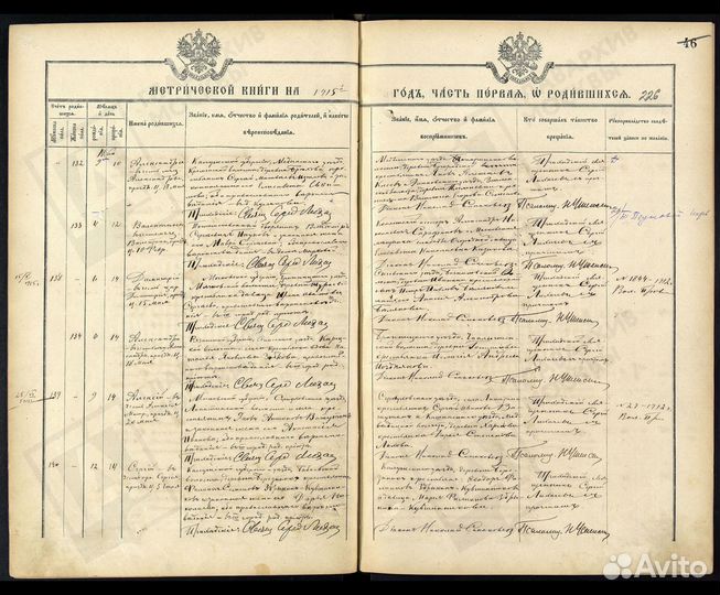 Родословная семьи (генеалог)