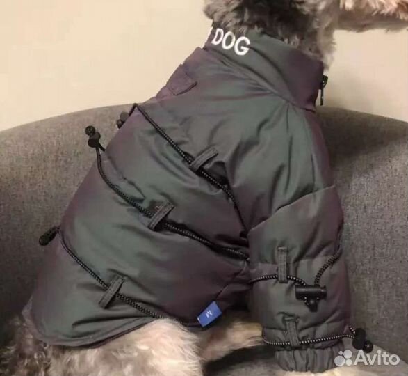 Новая зимняя куртка для маленькой собаки