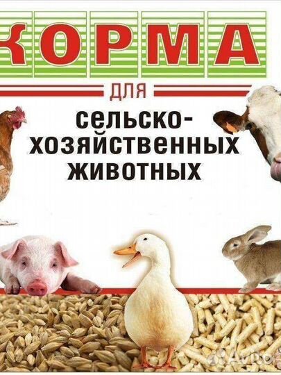 Корма для с/х животных