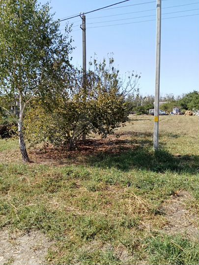 Участок 12 сот. (ИЖС)